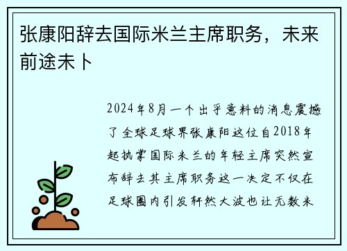 张康阳辞去国际米兰主席职务，未来前途未卜